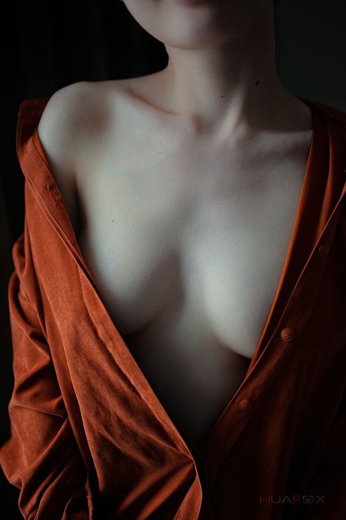 HuaFox花狐狸出品4月无圣光套图[100P]