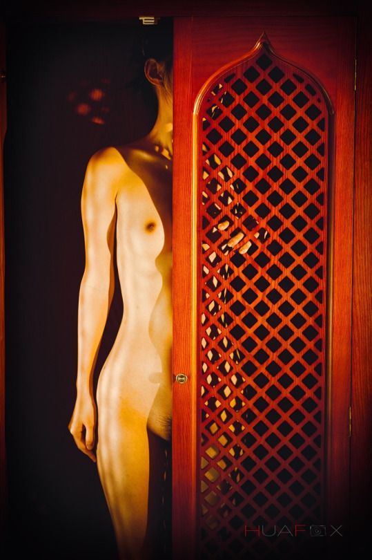 HuaFox花狐狸出品无圣光套图[100P]