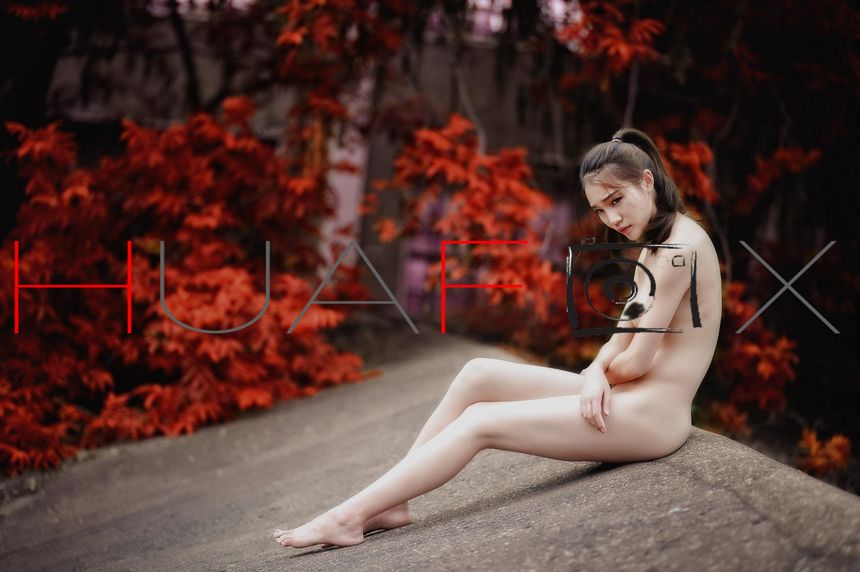 HuaFox花狐狸出品无圣光套图（十）[100P]