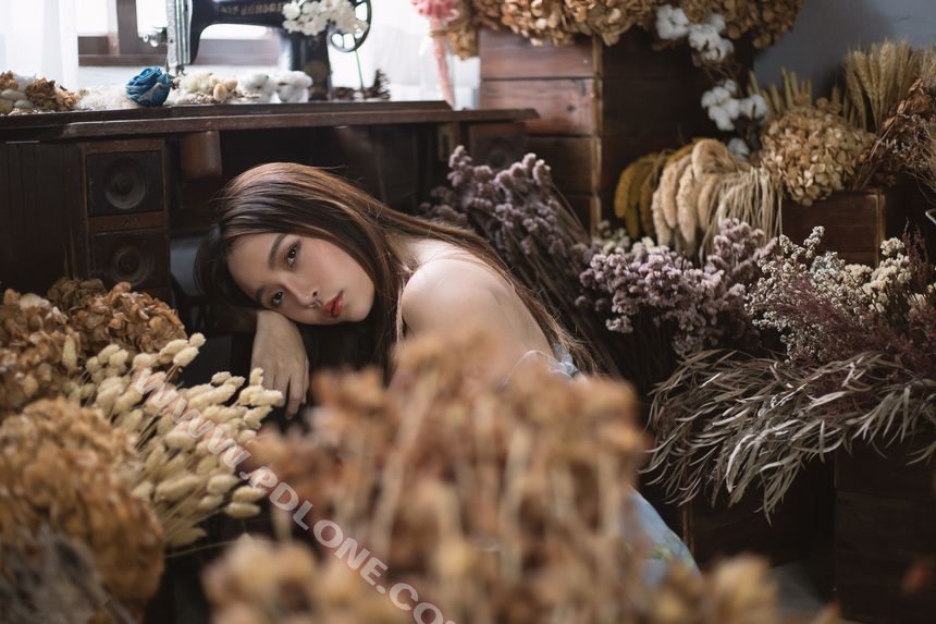 [PDLONE潘多拉]铂金刊无圣光套图[49P]