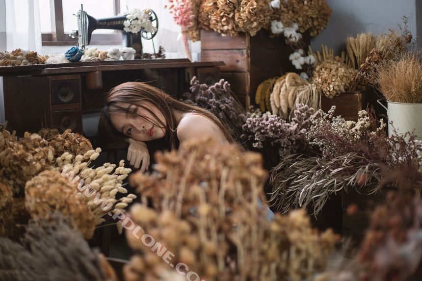 [PDLONE潘多拉]铂金刊无圣光套图[49P]