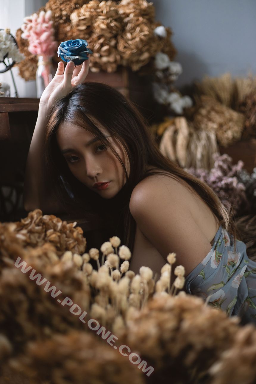 [PDLONE潘多拉]铂金刊无圣光套图[49P]