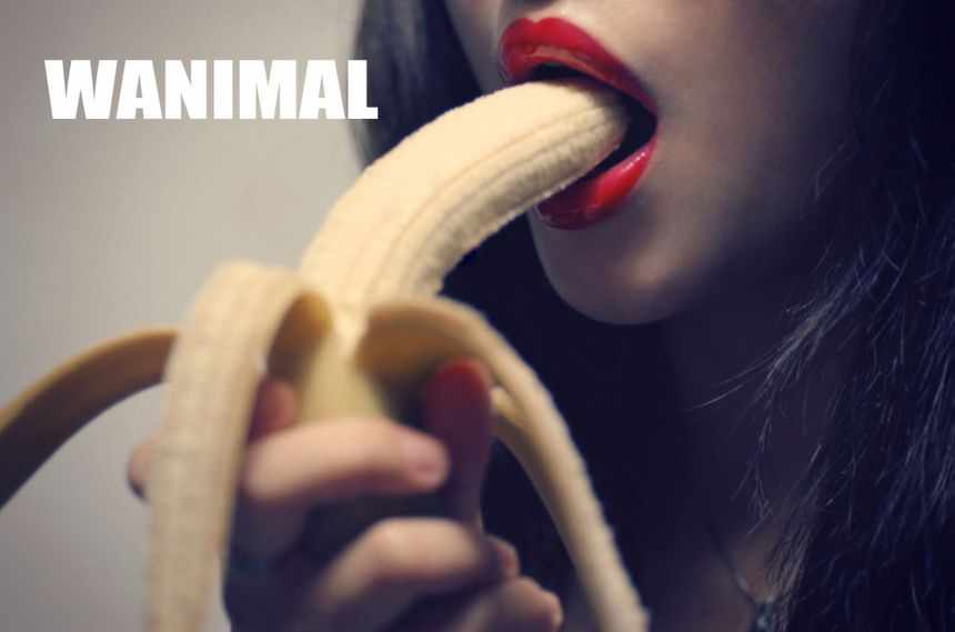 WANIMAL出品无圣光套图[125P]