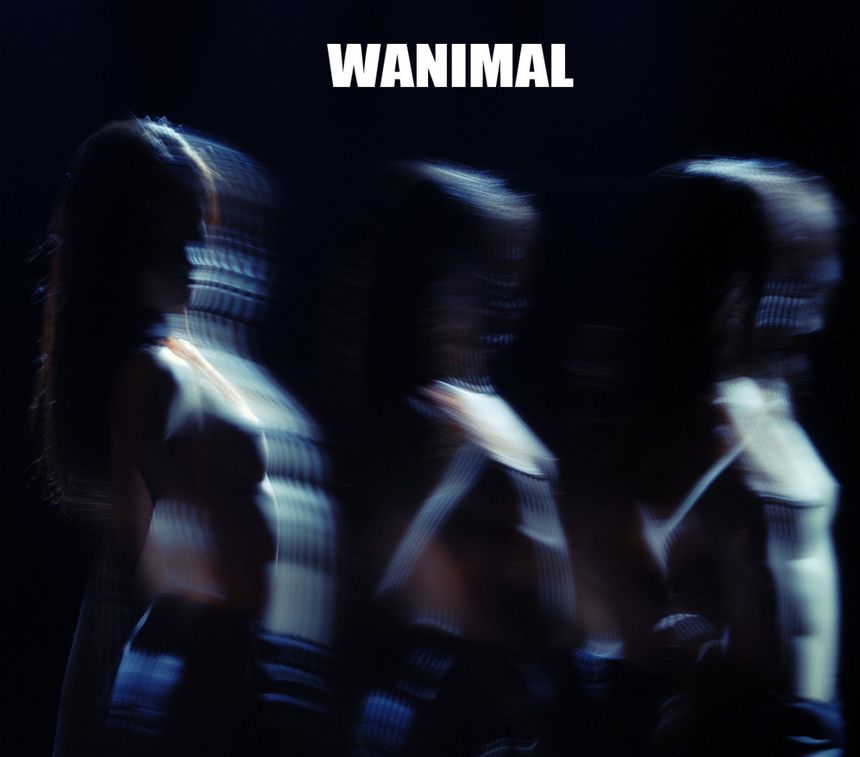WANIMAL出品无圣光套图[125P]