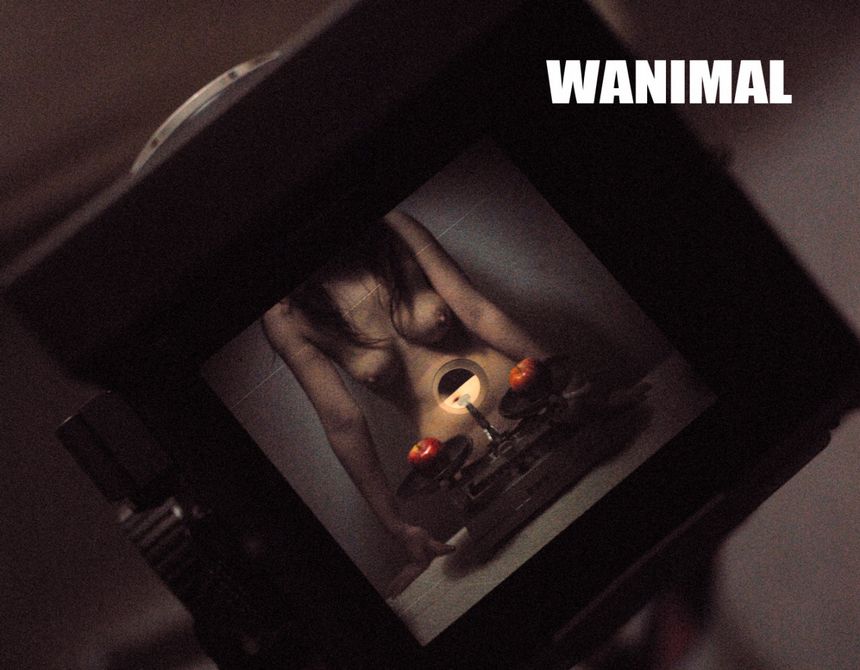 WANIMAL出品无圣光套图[125P]