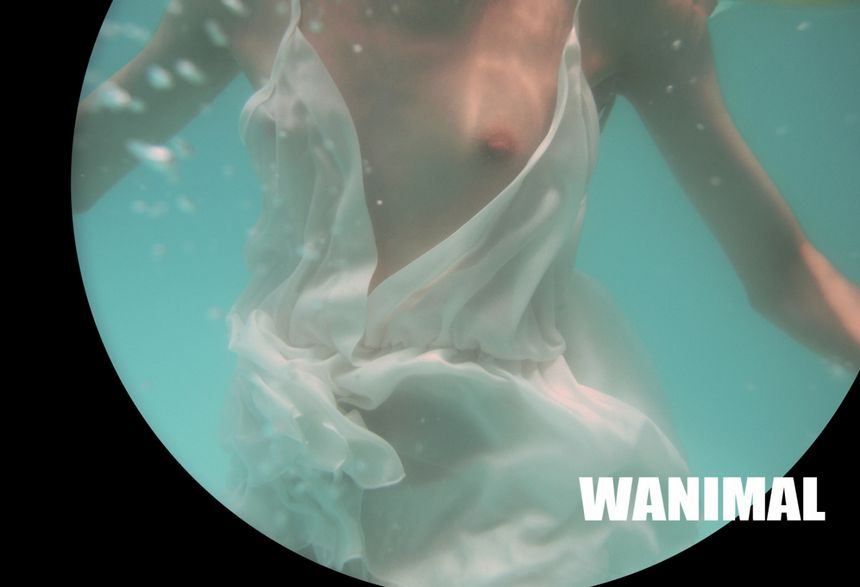 WANIMAL出品无圣光套图[125P]