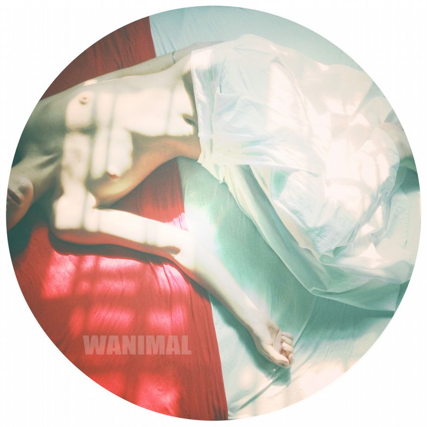 WANIMAL出品无圣光套图[125P]