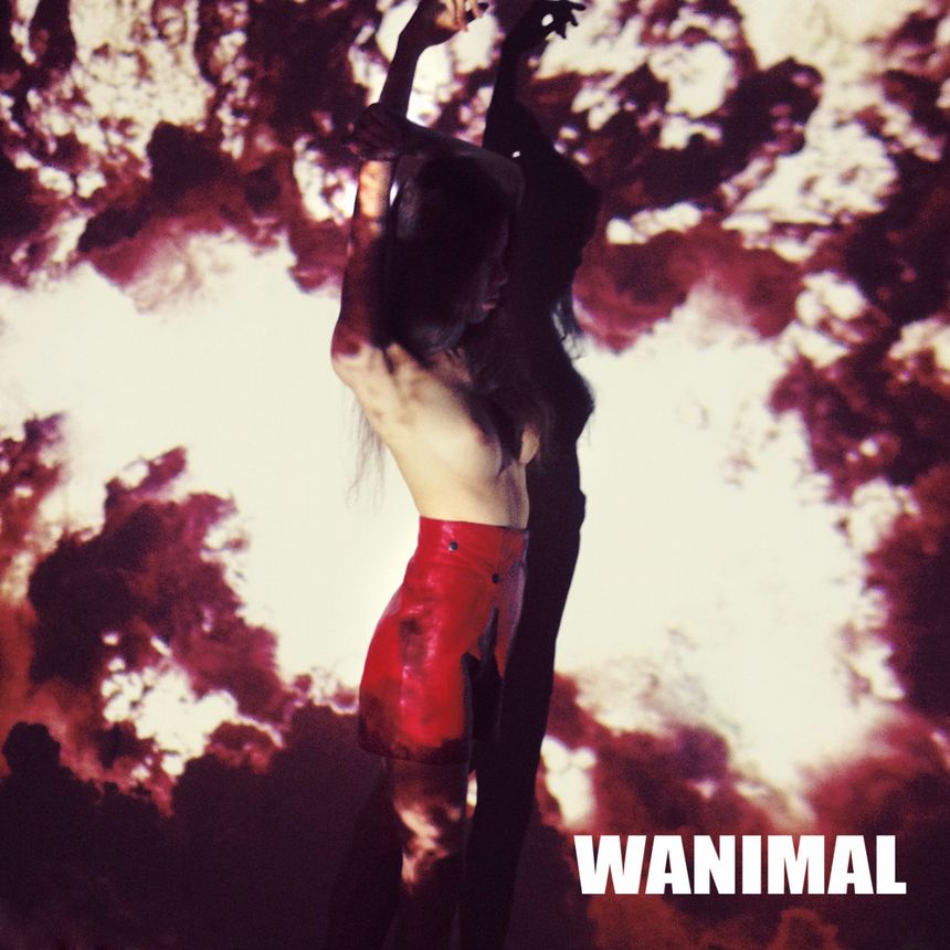 WANIMAL出品无圣光套图[125P]