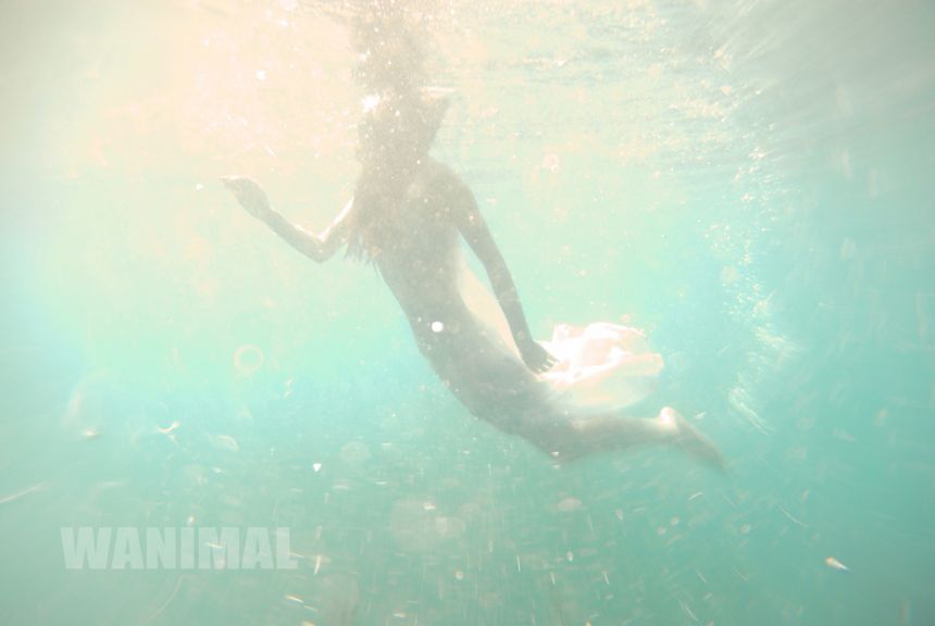 WANIMAL出品无圣光套图[125P]