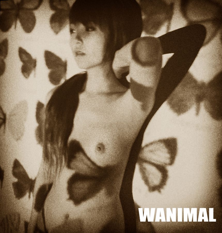 WANIMAL出品无圣光套图[125P]