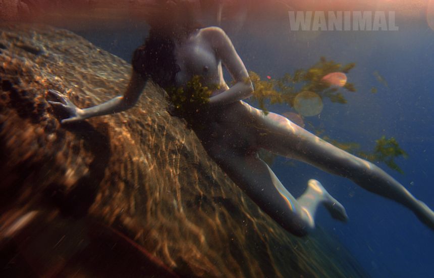 WANIMAL出品无圣光套图[125P]