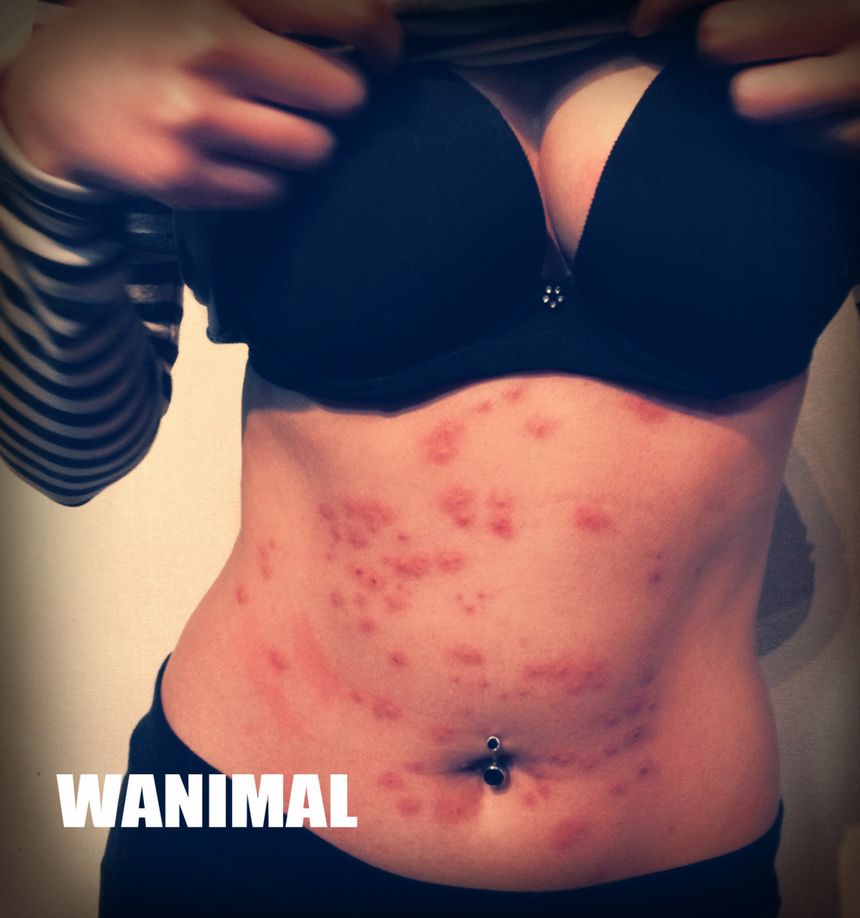 WANIMAL出品无圣光套图[125P]