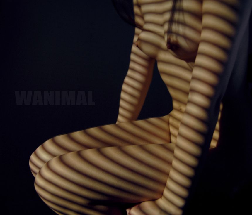 WANIMAL出品无圣光套图（七）[119P]