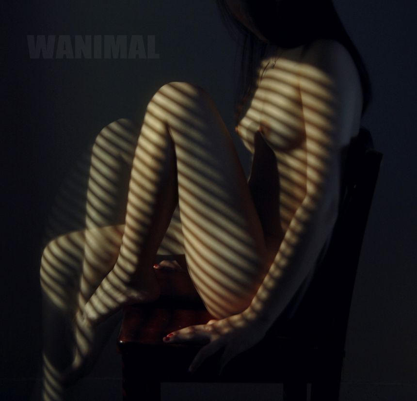 WANIMAL出品无圣光套图（七）[119P]