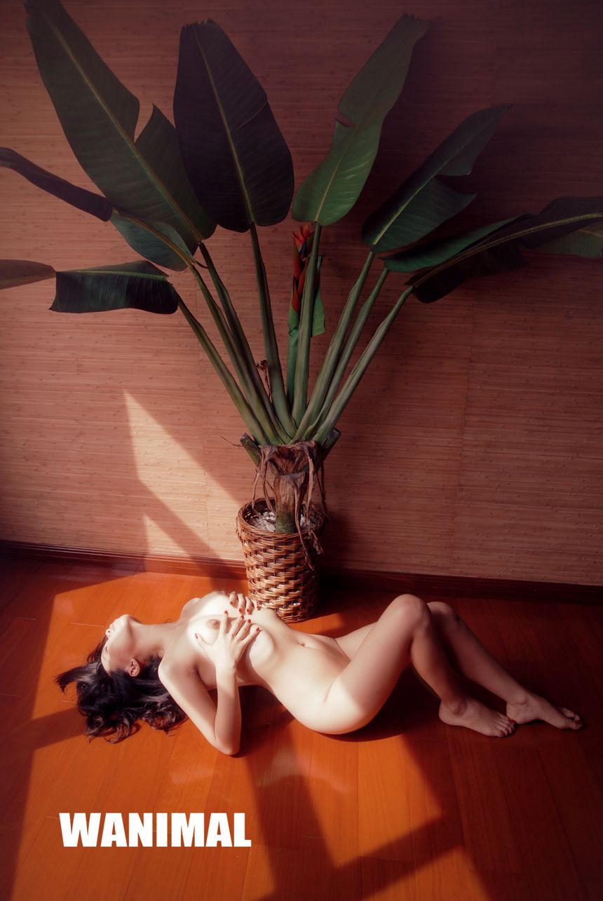 WANIMAL出品无圣光套图（三）[121P]