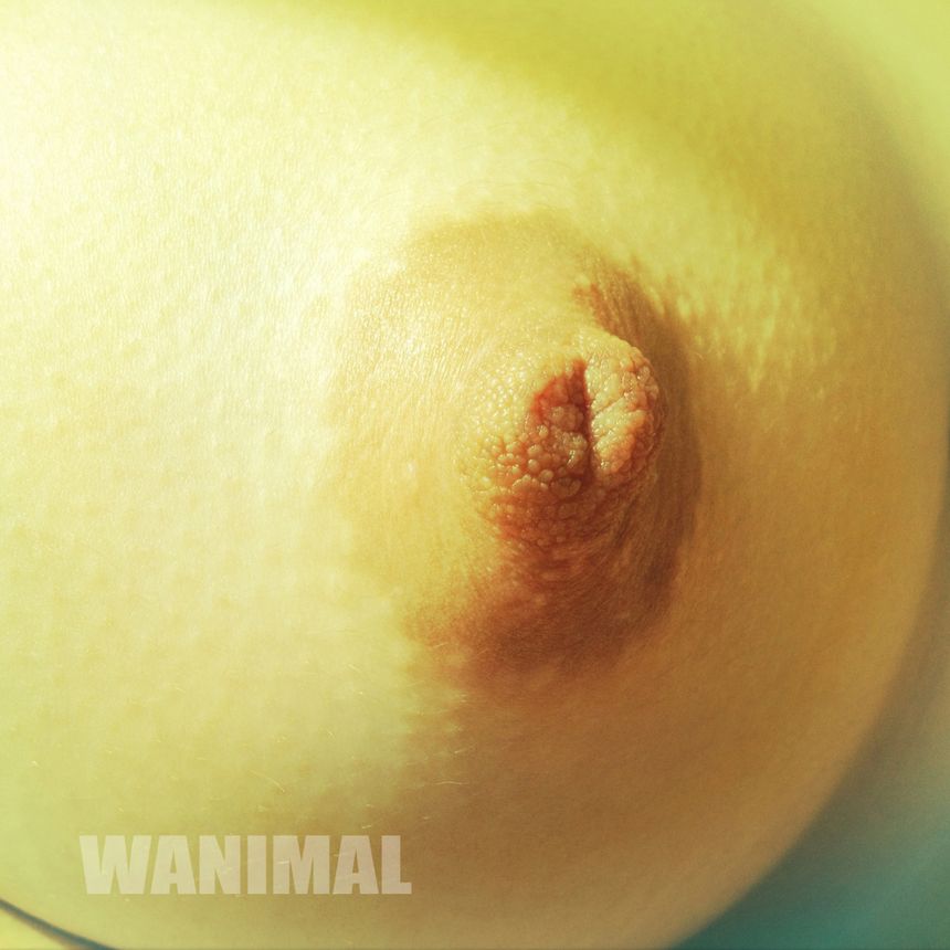 WANIMAL出品无圣光套图（三）[121P]