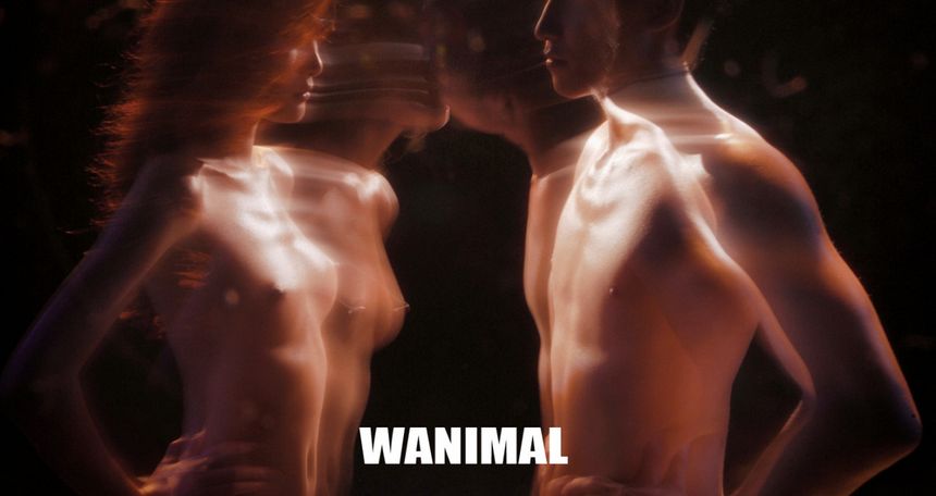 WANIMAL出品无圣光套图（三）[121P]