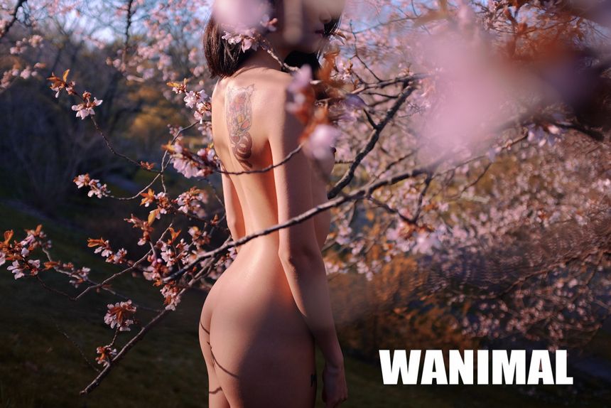 WANIMAL出品无圣光套图（九）[70P]