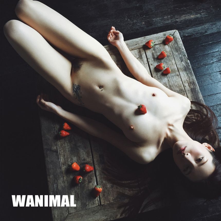 WANIMAL出品无圣光套图（二十一）[104P]