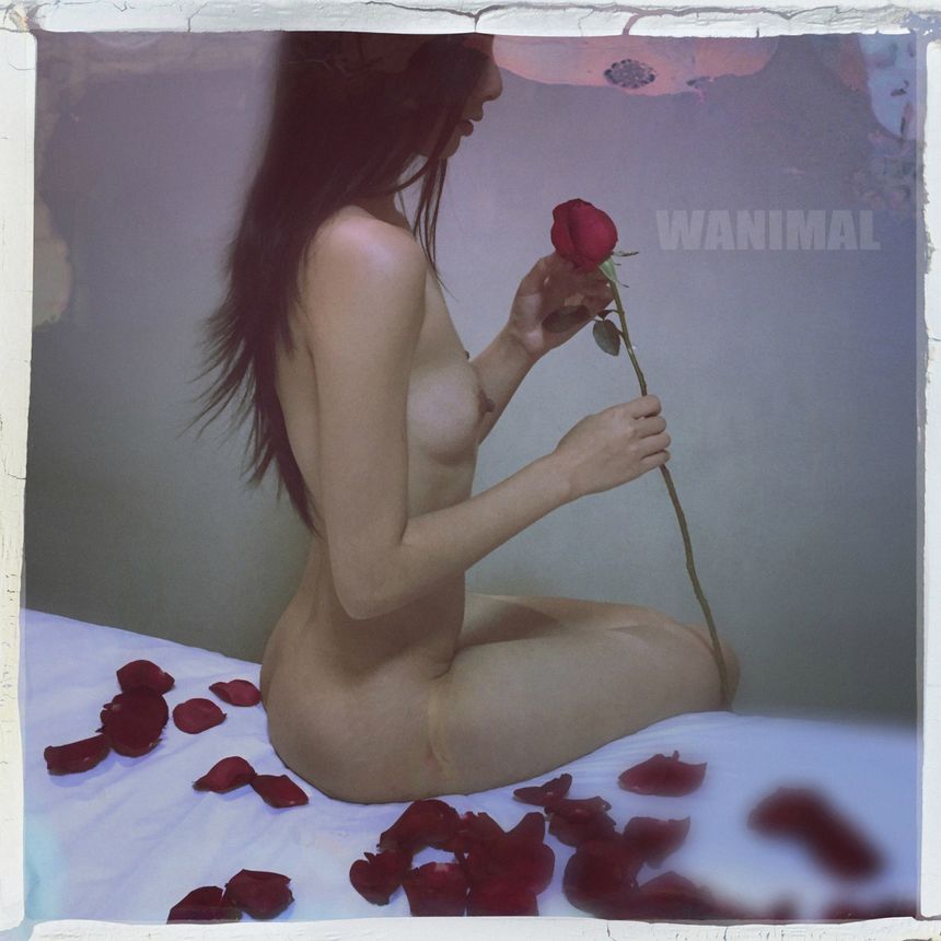 WANIMAL出品无圣光套图（二十一）[104P]