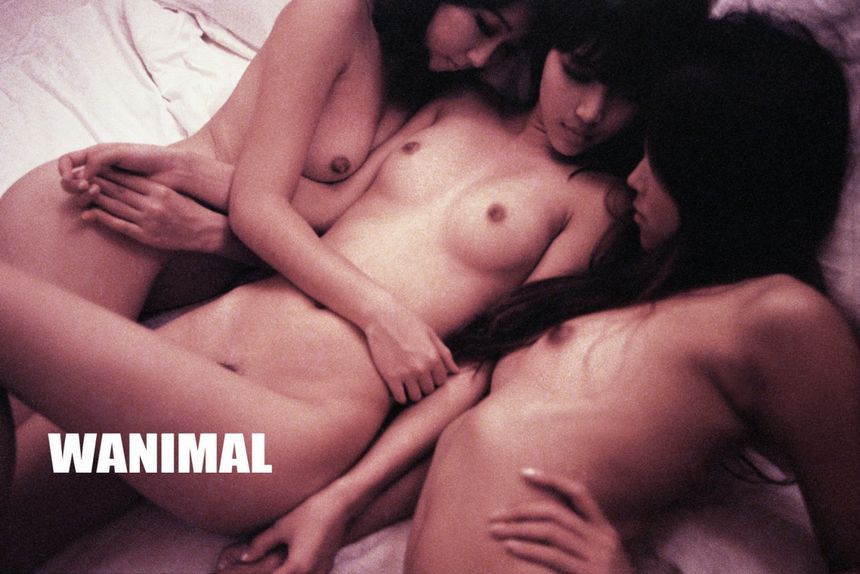 WANIMAL出品无圣光套图（二十一）[104P]