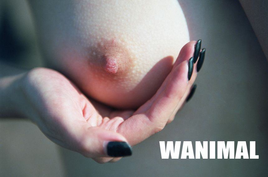 WANIMAL出品无圣光套图（二十六）[59P]