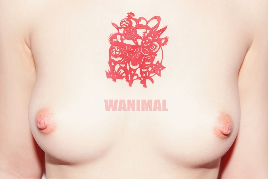 WANIMAL出品无圣光套图（二十六）[59P]