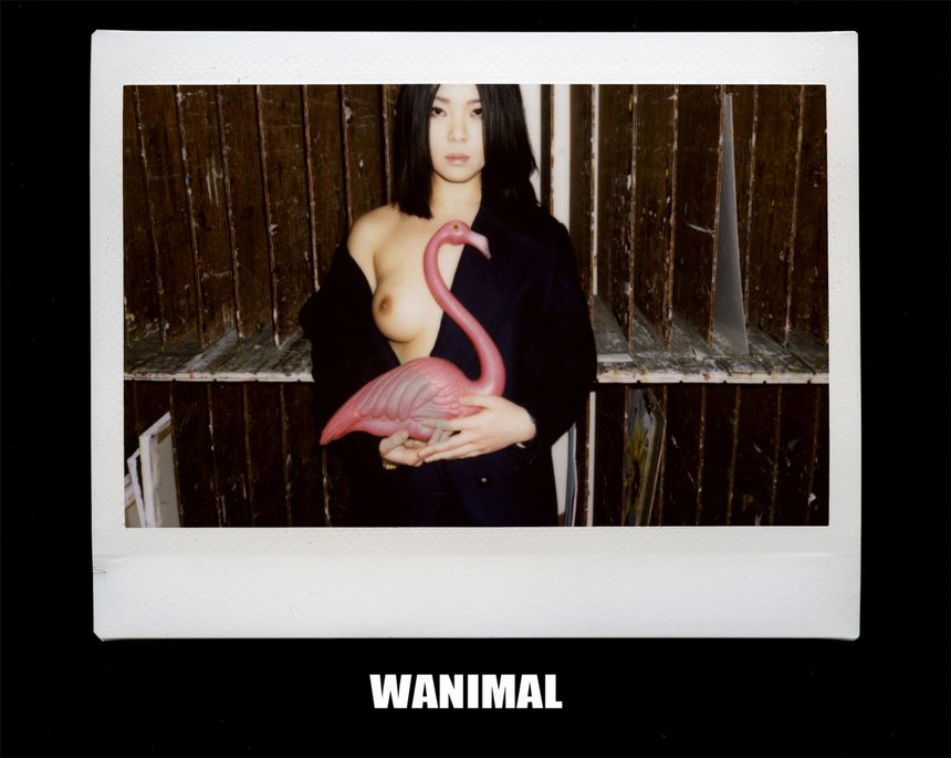 WANIMAL出品无圣光套图（二十）[81P]