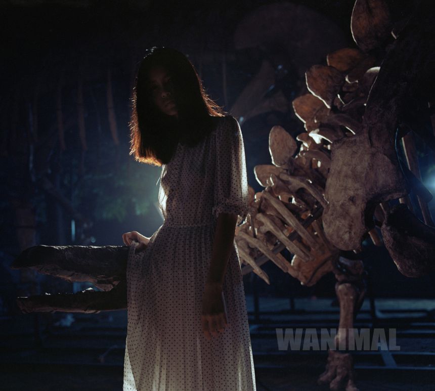 WANIMAL出品无圣光套图（二）[107P]