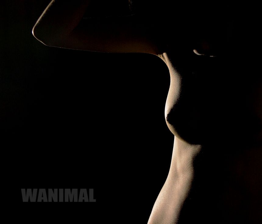 WANIMAL出品无圣光套图（二）[107P]