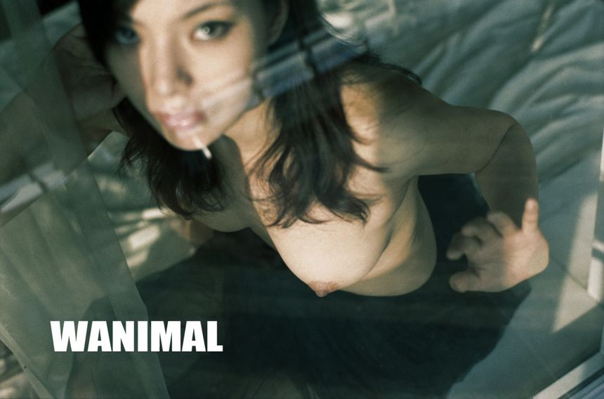 WANIMAL出品无圣光套图（五）[130P]