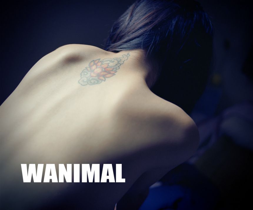WANIMAL出品无圣光套图（五）[130P]
