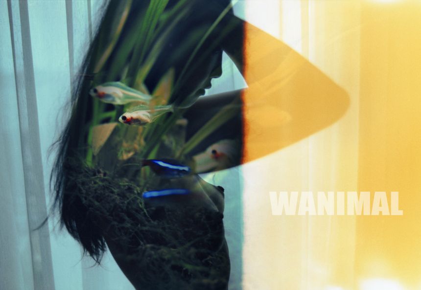 WANIMAL出品无圣光套图（五）[130P]