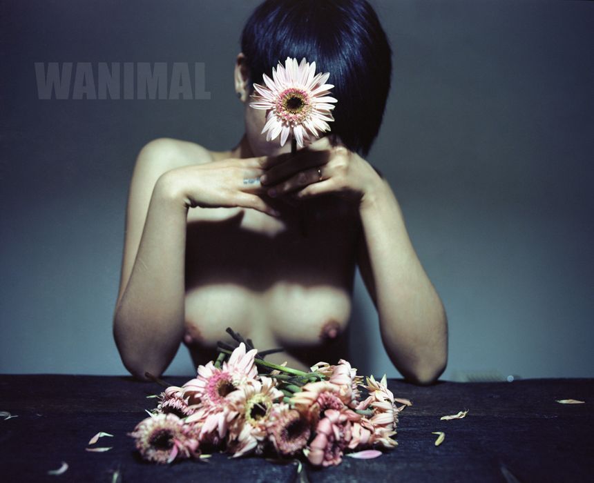 WANIMAL出品无圣光套图（六）[86P]