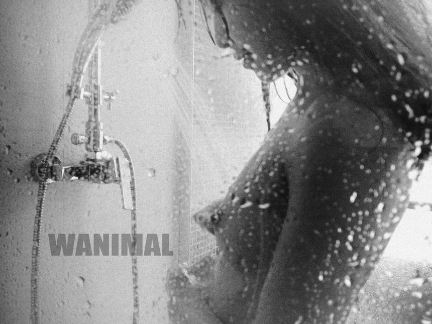 WANIMAL出品无圣光套图（六）[86P]