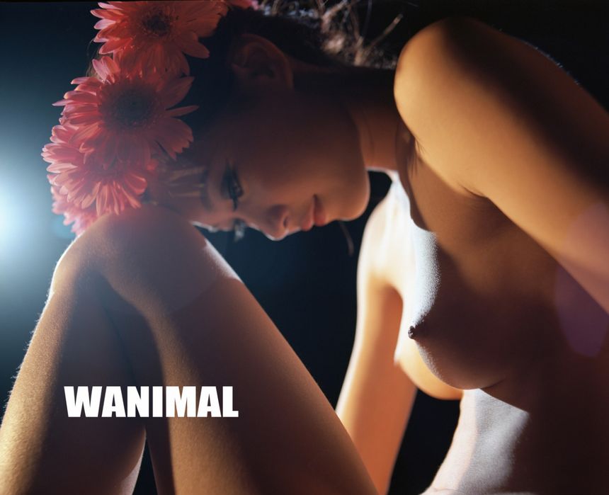 WANIMAL出品无圣光套图（十七）[109P]