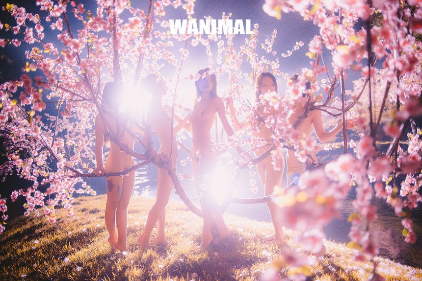 WANIMAL出品无圣光套图（十三）[104P]
