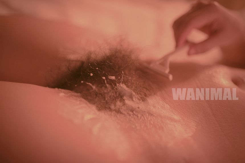 WANIMAL出品无圣光套图（十三）[104P]