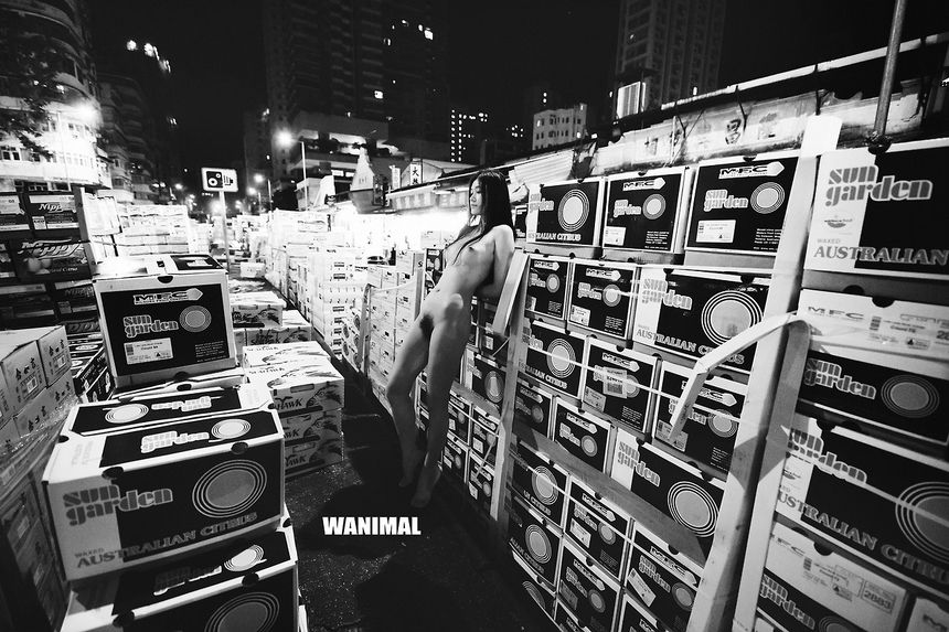 WANIMAL出品无圣光套图（十三）[104P]