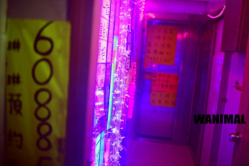 WANIMAL出品无圣光套图（十三）[104P]