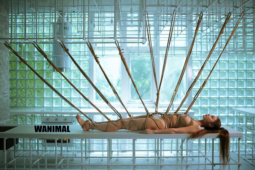 WANIMAL出品无圣光套图（十三）[104P]