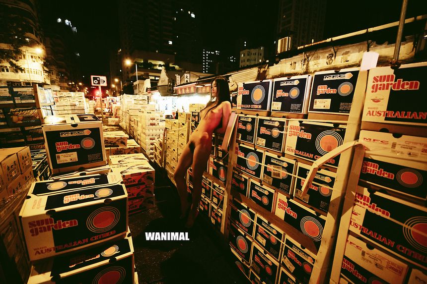 WANIMAL出品无圣光套图（十三）[104P]