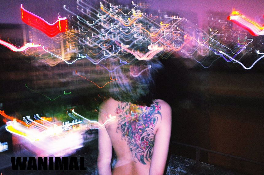 WANIMAL出品无圣光套图（十三）[104P]