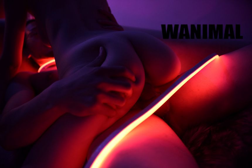 WANIMAL出品无圣光套图（十三）[104P]