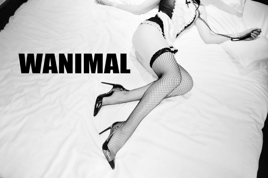 WANIMAL出品无圣光套图（十三）[104P]