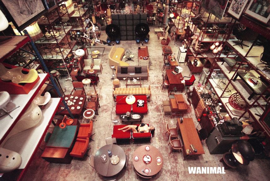 WANIMAL出品无圣光套图（十九）[100P]