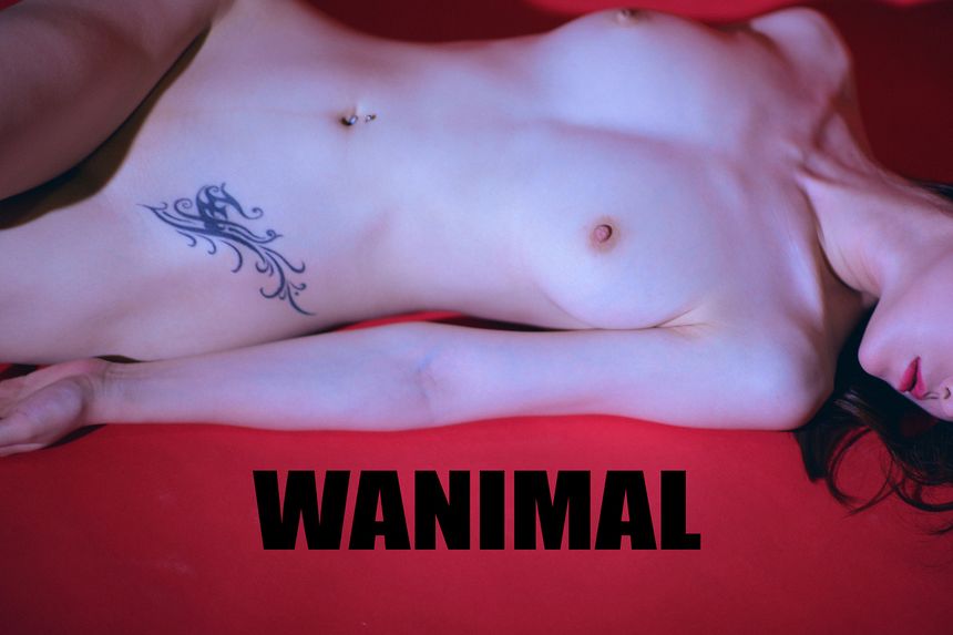 WANIMAL出品无圣光套图（十五）[134P]