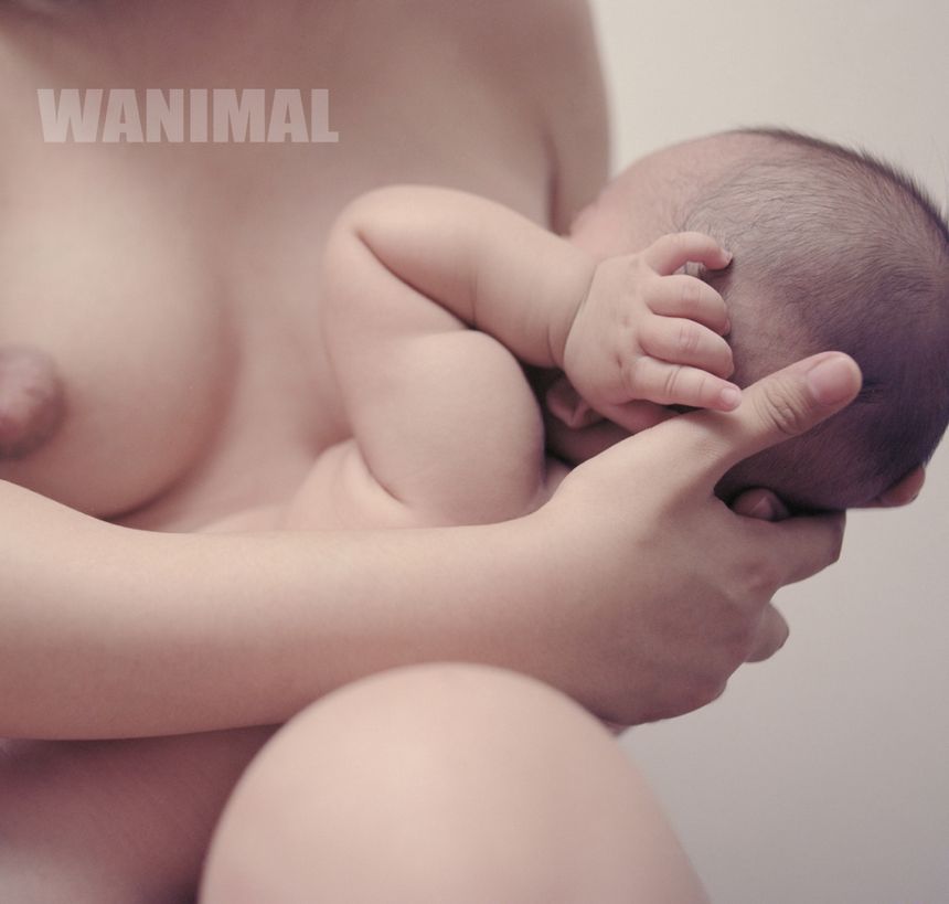 WANIMAL出品无圣光套图（十八）[100P]