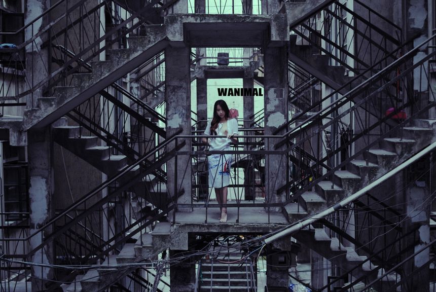 WANIMAL出品无圣光套图（十八）[100P]