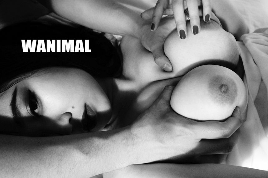 WANIMAL出品无圣光套图（十八）[100P]